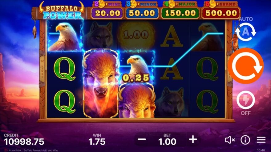Buffalo Power: Hold and Win online