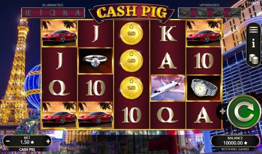 Cash Pig demo