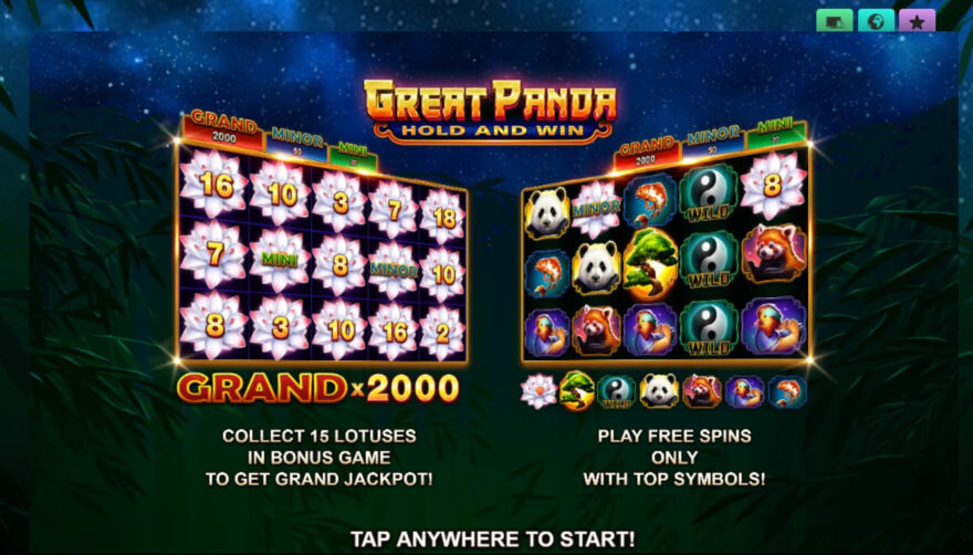 Great Panda: Hold and Win