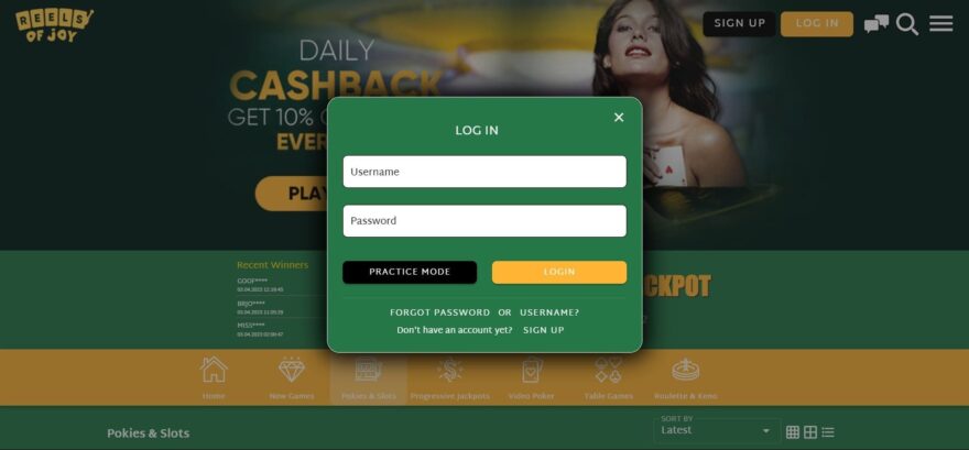 Reels Of Joy casino login